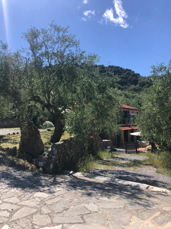 Ca Di Matti - Casa Oliva Diano Borello 外观 照片